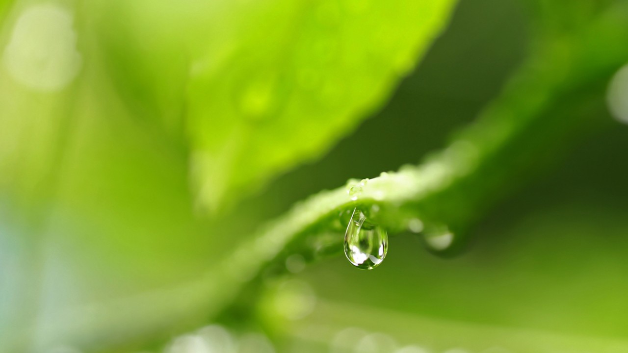 Toyota, just better, waterdruppel