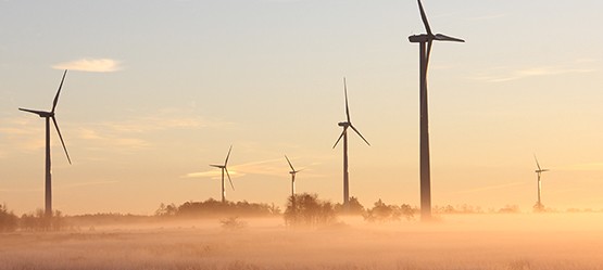 Toyota, sfeerbeeld, windturbines, groene stroom