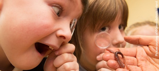 Toyota, Green Schools Ireland, kinderen bekijken aardworm met vergrootglas