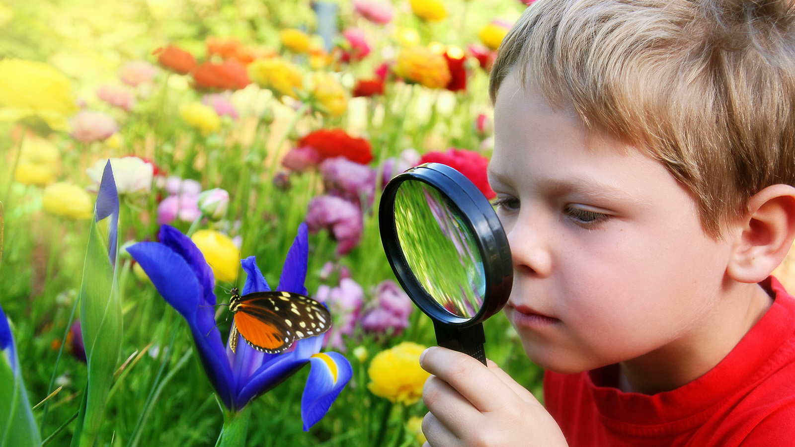 Toyota, jongetje onderzoekt vlinder met vergrootglas