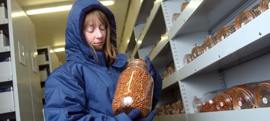 Toyota, Biodiversity Story, Millennium Seed Bank