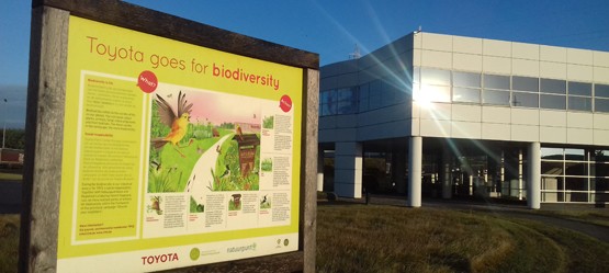 Toyota, Biodiversity Story, Parts Logistics Centre, Biodiversity infobord