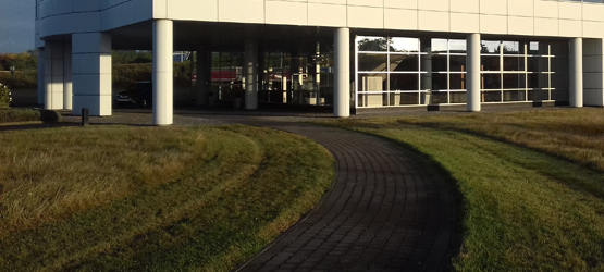 Toyota, Biodiversity Story, Parts Logistics Centre, weide omgeving