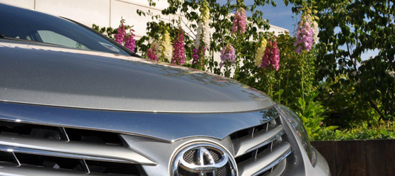 Toyota, gille, detail, bloemen