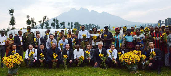 Toyota, future thinking, Rwanda, zonnebloemen kweken