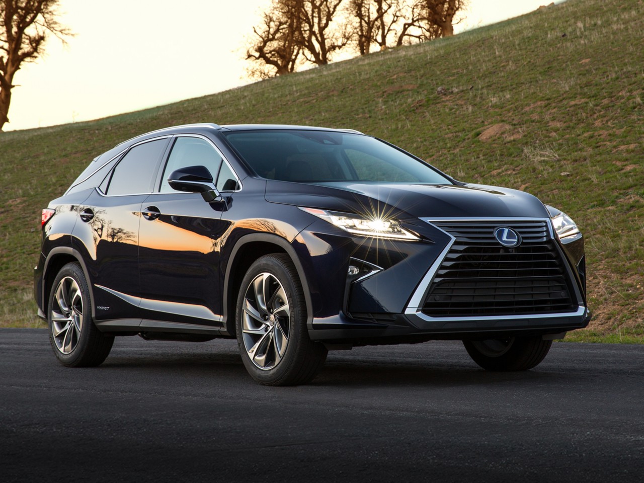 Lexus RX 450h, exterieur, rechtsvoor, zwart