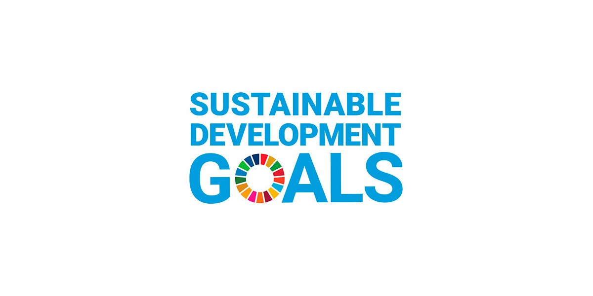 Sustainable Development Goals, logo