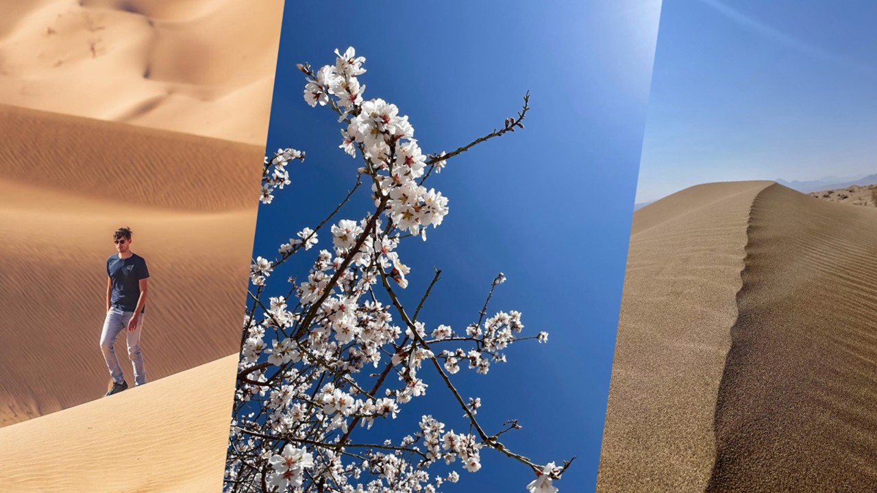 Toyota, Bart en Annelouc in Iran, woestijn, collage