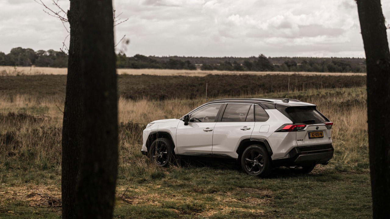 Toyota, RAV4, exterieur, achterkant, driekwart, linksachter